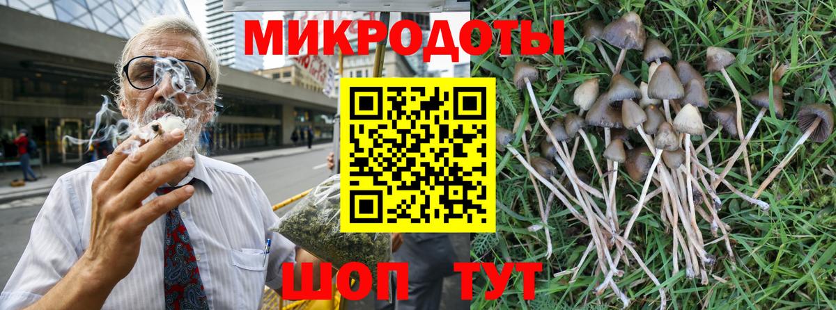 Алексин  Галлюциногенные грибы Psilocybe  Вход с VPN 