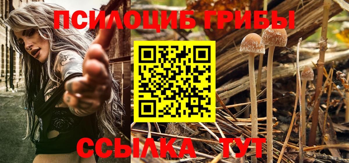 Псилоцибиновые грибы ЛСД Алексин
